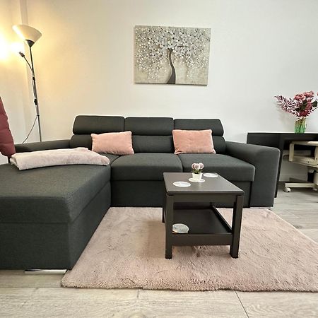Angela Nordic Apartment. Suceava Exterior photo