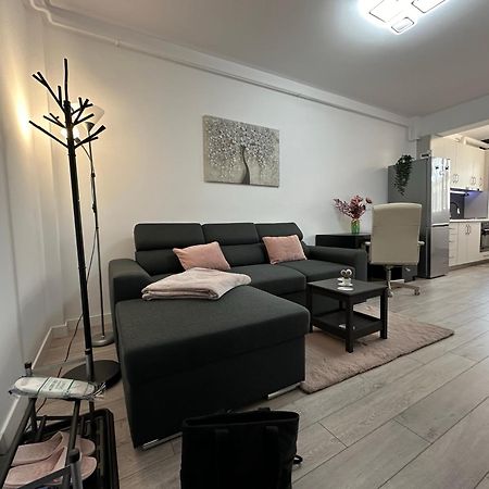 Angela Nordic Apartment. Suceava Exterior photo