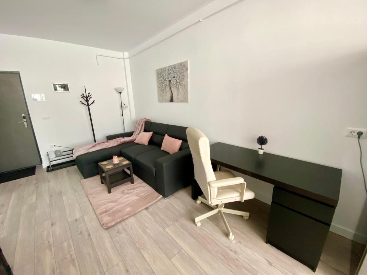Angela Nordic Apartment. Suceava Exterior photo